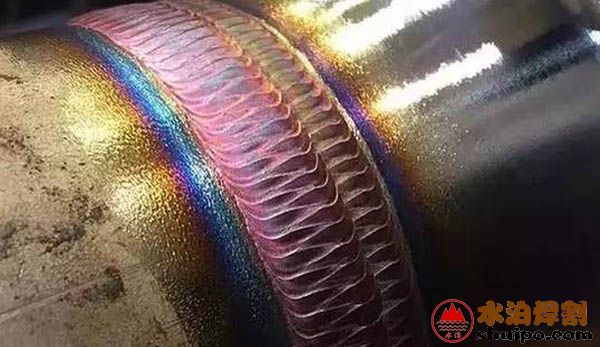 表面的飽滿的魚鱗紋 表面的飽滿的魚鱗紋